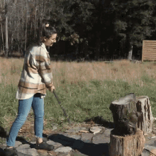 Timber Logs